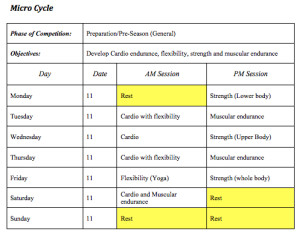 Develop and justify a periodisation chart microcycle