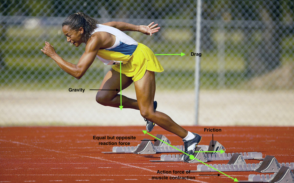 for stamina how i running increase HSC PDHPE applies the force body How â€“