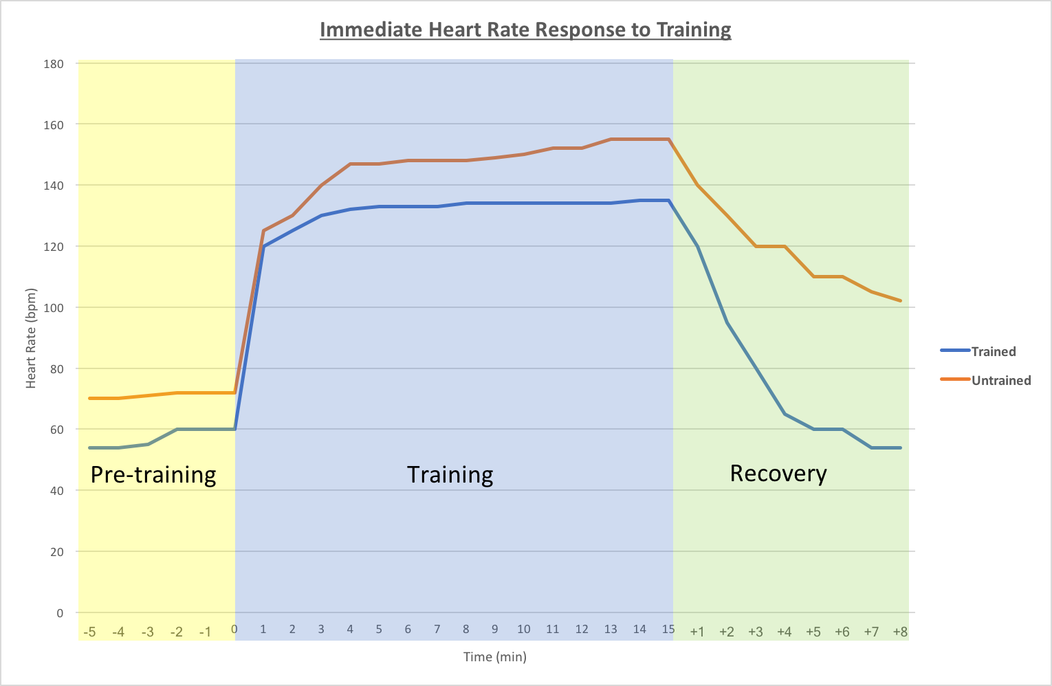 Heart rate HSC PDHPE